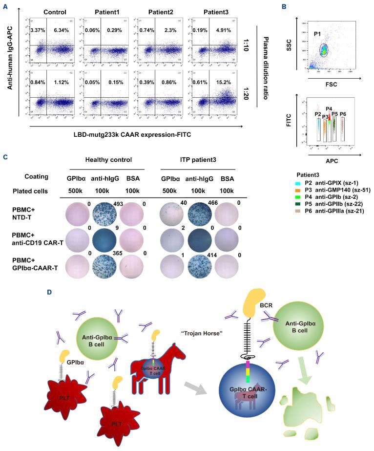 https://cdn.ncbi.nlm.nih.gov/pmc/blobs/ba67/11215394/75333565b90d/1092256.fig6.jpg