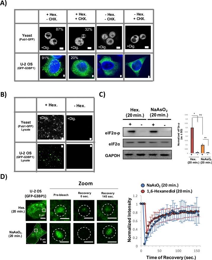 https://cdn.ncbi.nlm.nih.gov/pmc/blobs/ba6b/5014549/3a9e7af4f6bb/elife-18413-fig10.jpg