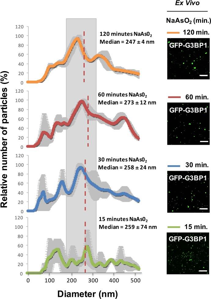 https://cdn.ncbi.nlm.nih.gov/pmc/blobs/ba6b/5014549/5993e16cb19b/elife-18413-fig4.jpg