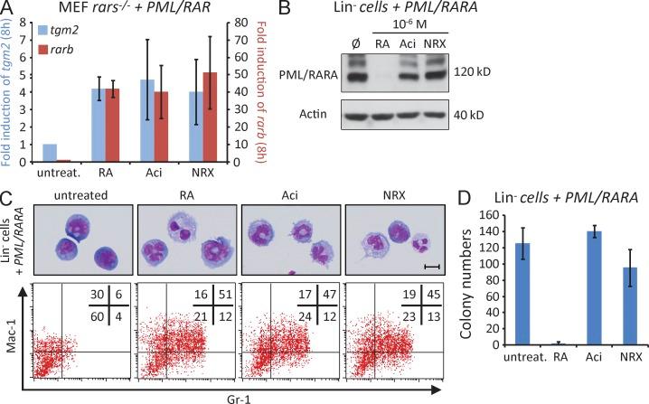 https://cdn.ncbi.nlm.nih.gov/pmc/blobs/ba8d/3620357/bfa22123dec0/JEM_20122337_Fig2.jpg