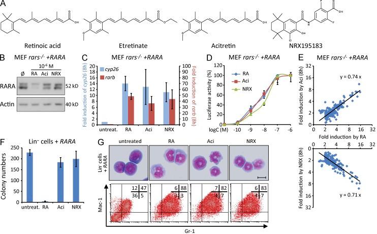 https://cdn.ncbi.nlm.nih.gov/pmc/blobs/ba8d/3620357/e1d6d95bbaa8/JEM_20122337R_Fig1.jpg
