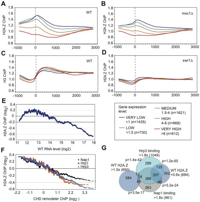 https://cdn.ncbi.nlm.nih.gov/pmc/blobs/bac7/2770259/f1e0df6dc53d/pgen.1000726.g003.jpg
