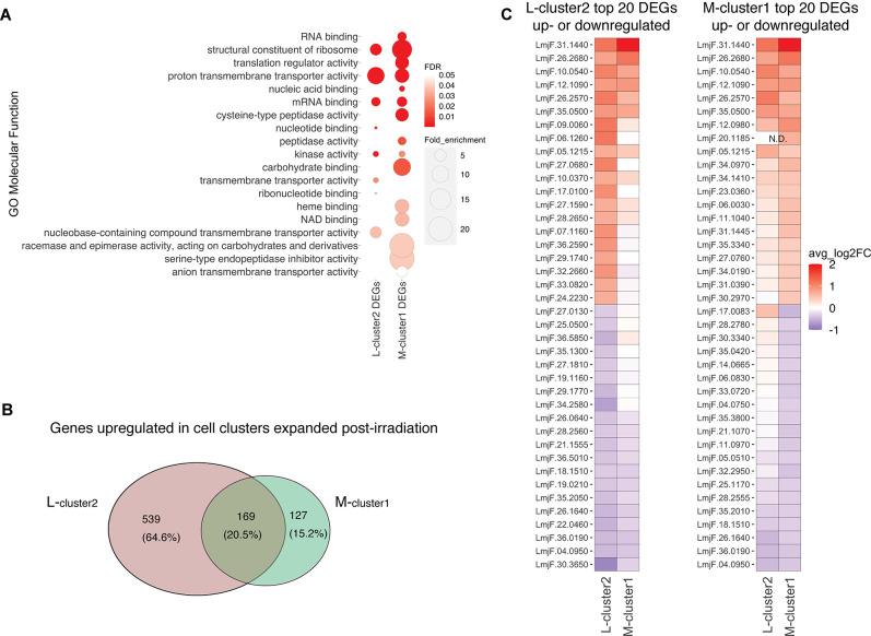https://cdn.ncbi.nlm.nih.gov/pmc/blobs/bacc/8794473/0f3e4c09a34e/elife-73488-fig4.jpg