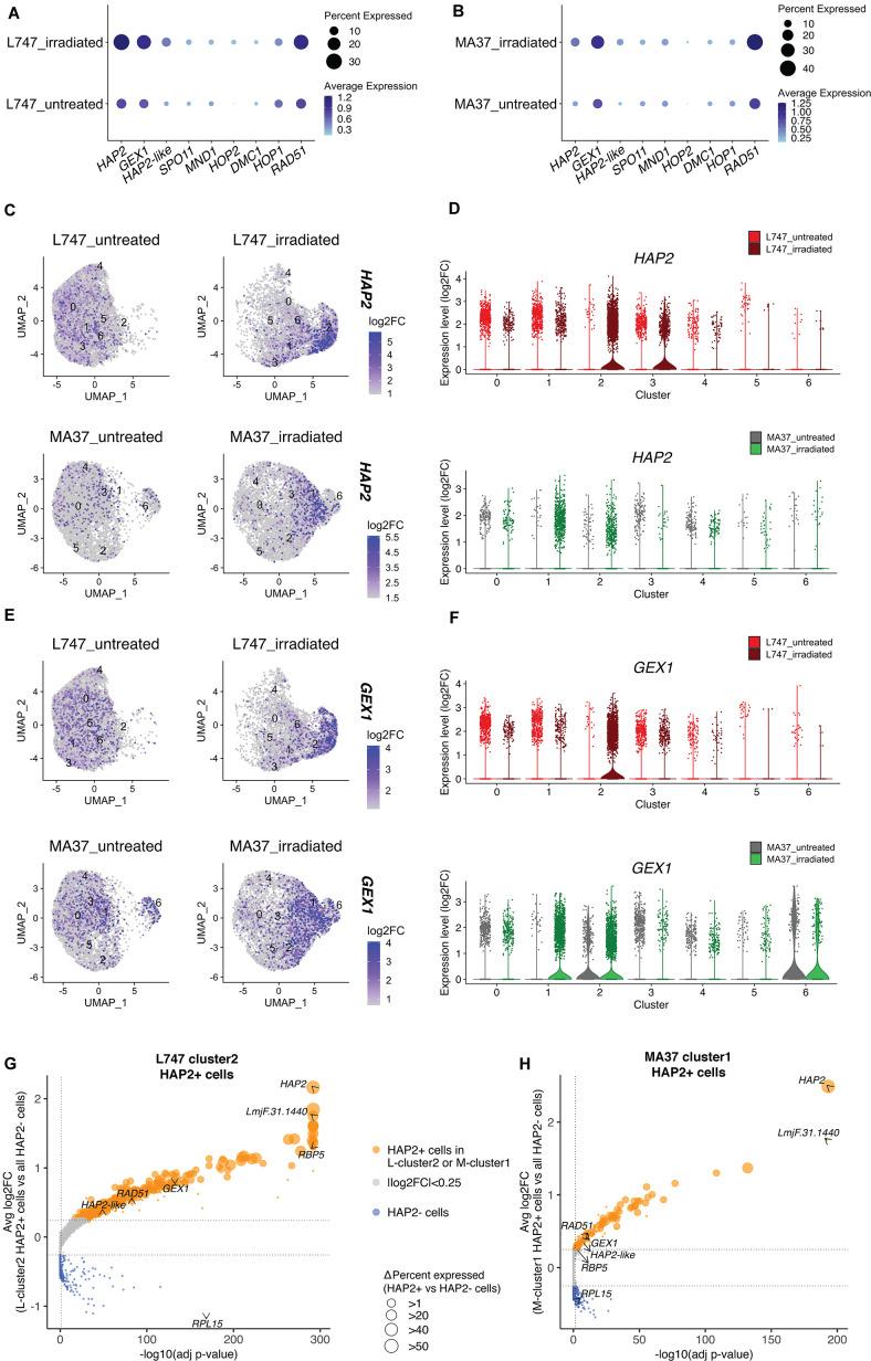 https://cdn.ncbi.nlm.nih.gov/pmc/blobs/bacc/8794473/49e2a4814894/elife-73488-fig5.jpg
