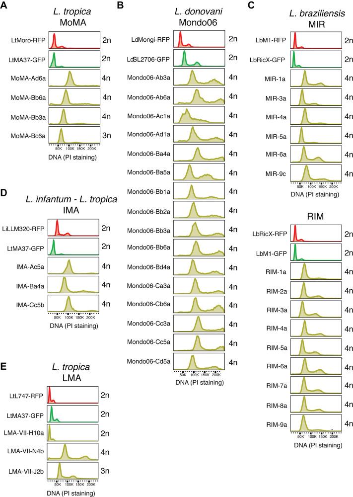 https://cdn.ncbi.nlm.nih.gov/pmc/blobs/bacc/8794473/fe7559886942/elife-73488-fig2-figsupp1.jpg