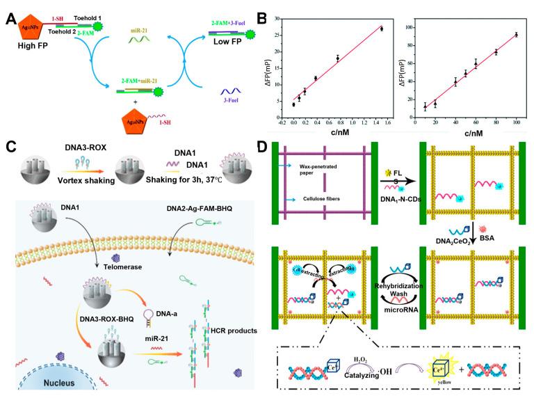 https://cdn.ncbi.nlm.nih.gov/pmc/blobs/bad4/10296440/534730333de9/biosensors-13-00617-g005.jpg