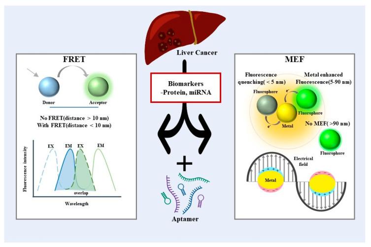 https://cdn.ncbi.nlm.nih.gov/pmc/blobs/bad4/10296440/9ea0cf8cd64b/biosensors-13-00617-g001.jpg