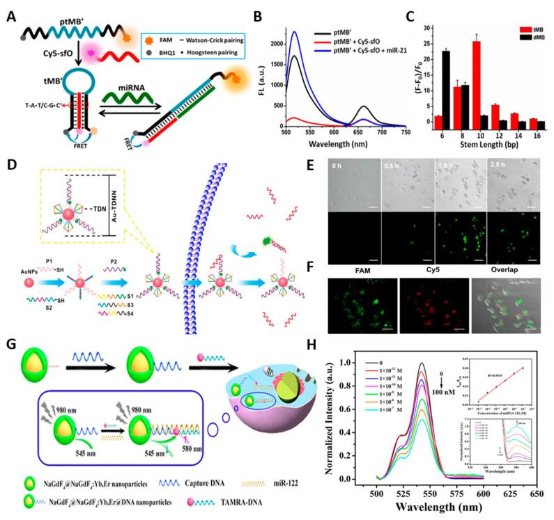 https://cdn.ncbi.nlm.nih.gov/pmc/blobs/bad4/10296440/b6a800a05ea5/biosensors-13-00617-g003.jpg