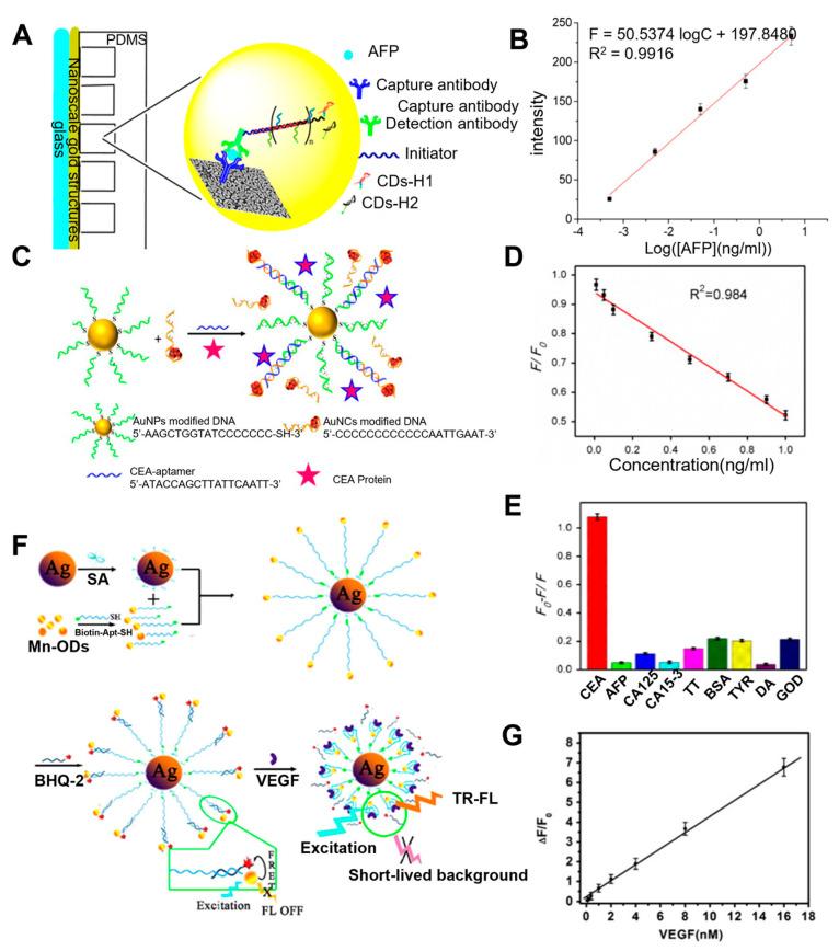 https://cdn.ncbi.nlm.nih.gov/pmc/blobs/bad4/10296440/d15568eef3af/biosensors-13-00617-g004.jpg
