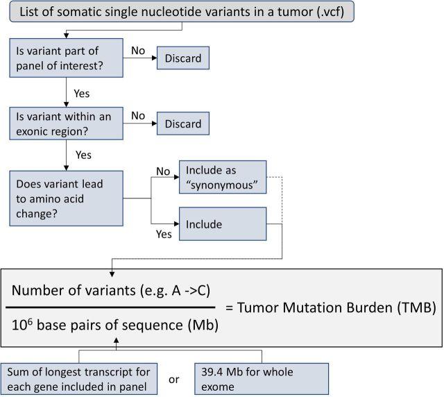 https://cdn.ncbi.nlm.nih.gov/pmc/blobs/bad6/7174068/a572cd6f7990/jitc-2020-000613f01.jpg