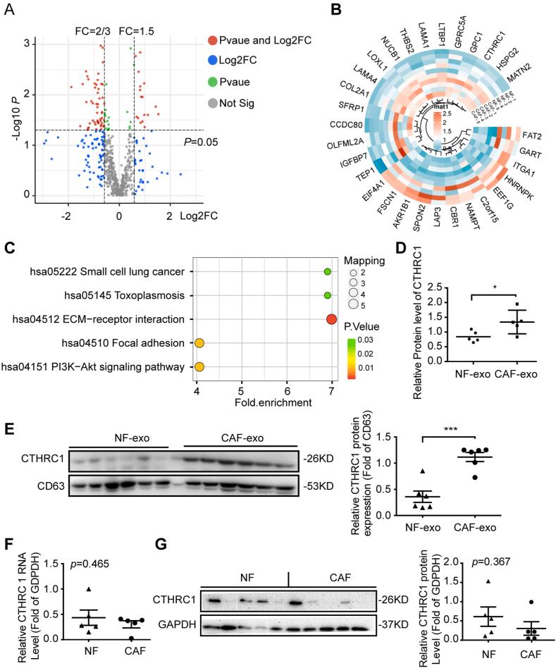 https://cdn.ncbi.nlm.nih.gov/pmc/blobs/baf2/11369458/cacedad608fa/gr3.jpg