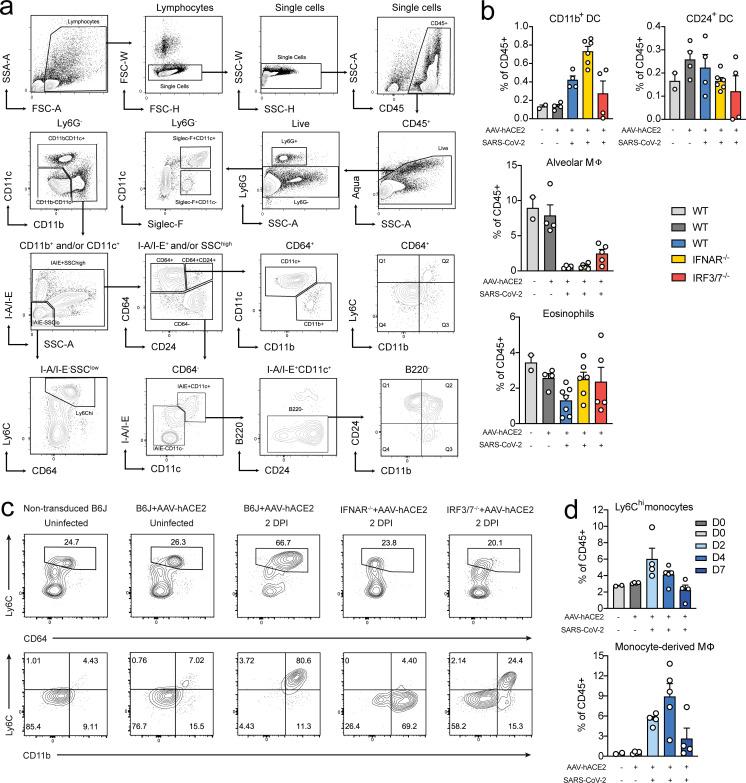 https://cdn.ncbi.nlm.nih.gov/pmc/blobs/baf8/7401025/23adbb17ca1f/JEM_20201241_FigS2.jpg