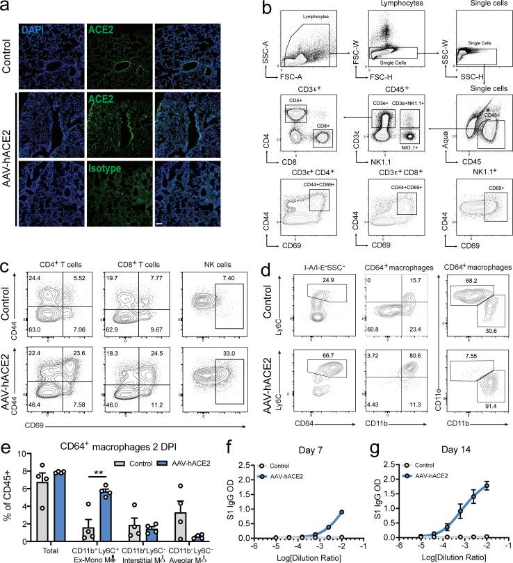 https://cdn.ncbi.nlm.nih.gov/pmc/blobs/baf8/7401025/97333e7d3c24/JEM_20201241_FigS1.jpg