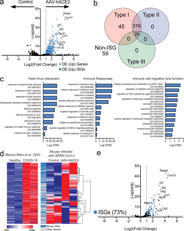 https://cdn.ncbi.nlm.nih.gov/pmc/blobs/baf8/7401025/d976846944fd/JEM_20201241_Fig2.jpg