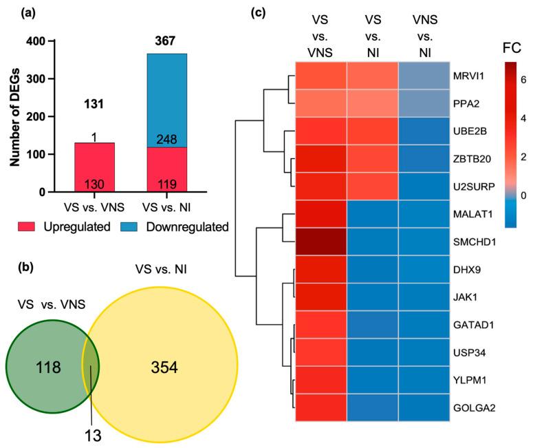 https://cdn.ncbi.nlm.nih.gov/pmc/blobs/bb04/11853983/f06f6514ed88/cells-14-00285-g004.jpg