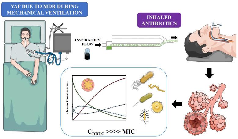 https://cdn.ncbi.nlm.nih.gov/pmc/blobs/bb0f/9952454/400b14985363/antibiotics-12-00267-g001.jpg