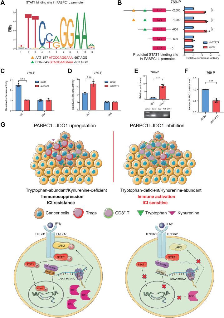 https://cdn.ncbi.nlm.nih.gov/pmc/blobs/bb14/11094425/8484ec149d40/1659fig6.jpg