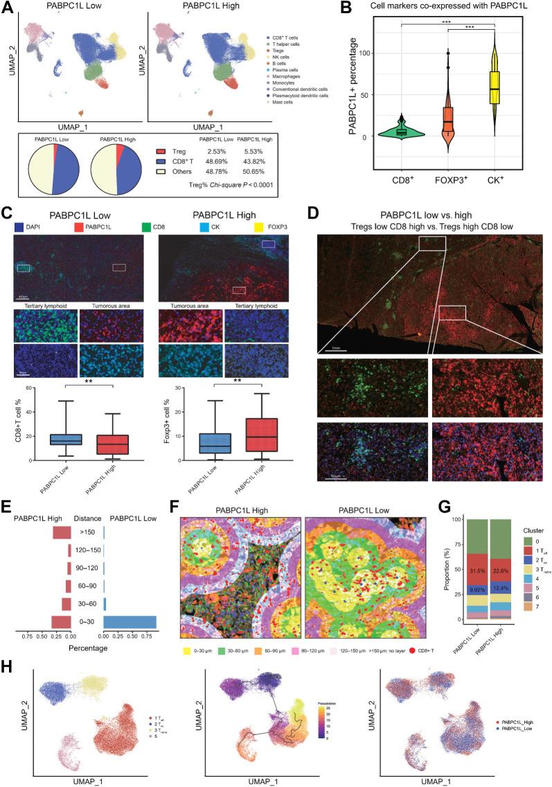 https://cdn.ncbi.nlm.nih.gov/pmc/blobs/bb14/11094425/ce2a639680b4/1659fig3.jpg