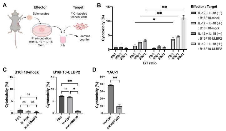 https://cdn.ncbi.nlm.nih.gov/pmc/blobs/bb18/11988498/1703134cf5a9/ijms-26-02950-g005.jpg