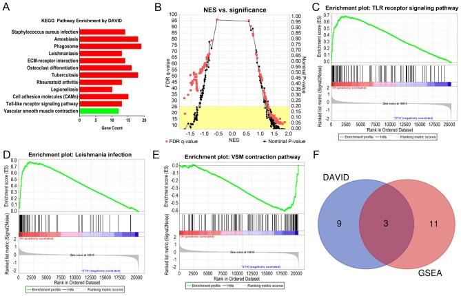 https://cdn.ncbi.nlm.nih.gov/pmc/blobs/bb25/6797989/c30b42f2e67d/MMR-20-05-4415-g03.jpg