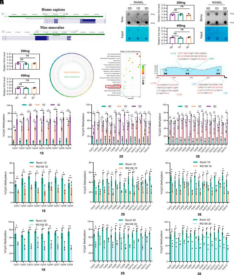 https://cdn.ncbi.nlm.nih.gov/pmc/blobs/bb26/11962505/89c782474d09/pnas.2418023122fig04.jpg