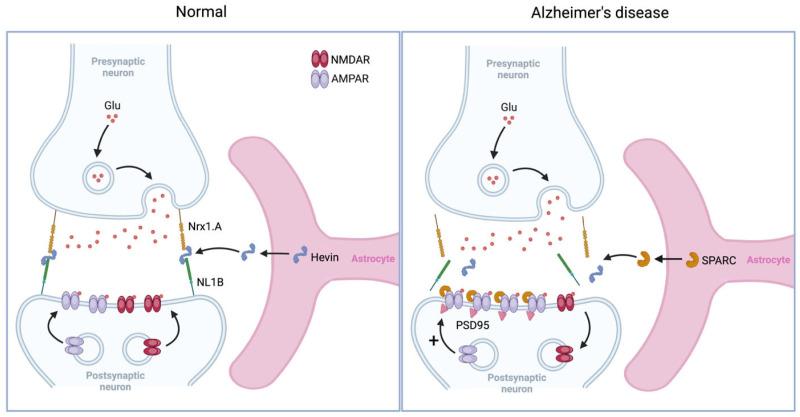 https://cdn.ncbi.nlm.nih.gov/pmc/blobs/bb31/12292185/a67f25910f90/biomolecules-15-00910-g004.jpg