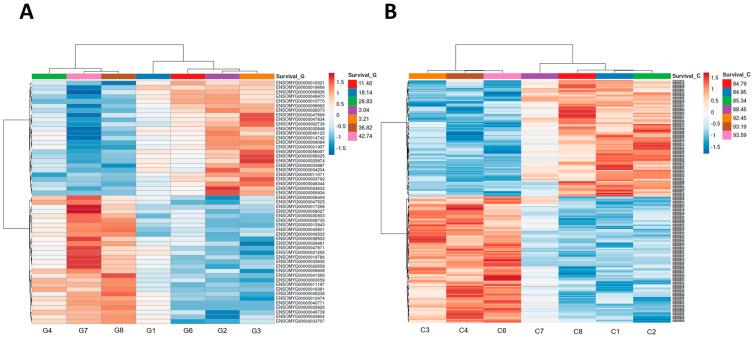 https://cdn.ncbi.nlm.nih.gov/pmc/blobs/bb4b/12294859/493ea9282dc3/genes-16-00803-g002.jpg