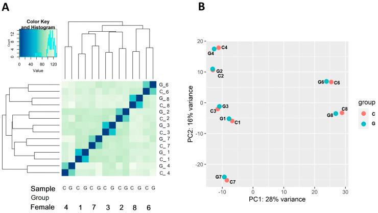 https://cdn.ncbi.nlm.nih.gov/pmc/blobs/bb4b/12294859/91802ec88965/genes-16-00803-g001.jpg