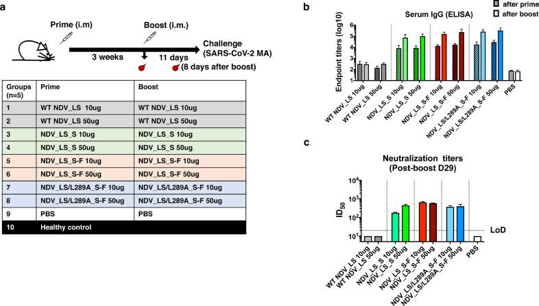 https://cdn.ncbi.nlm.nih.gov/pmc/blobs/bb7b/7691742/b4440e6dd94e/gr3.jpg
