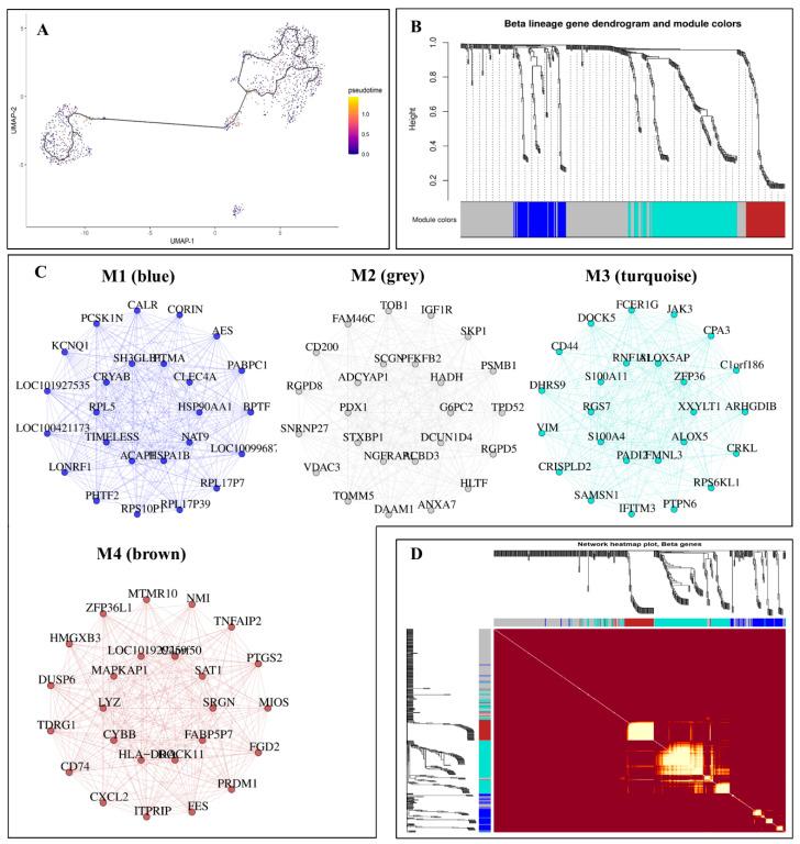 https://cdn.ncbi.nlm.nih.gov/pmc/blobs/bb7d/9405199/7ce1ace4cf6a/bioengineering-09-00353-g005.jpg