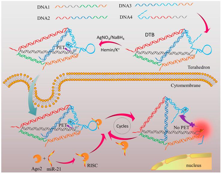 https://cdn.ncbi.nlm.nih.gov/pmc/blobs/bb84/12384124/1bef49af1149/biosensors-15-00476-g003.jpg