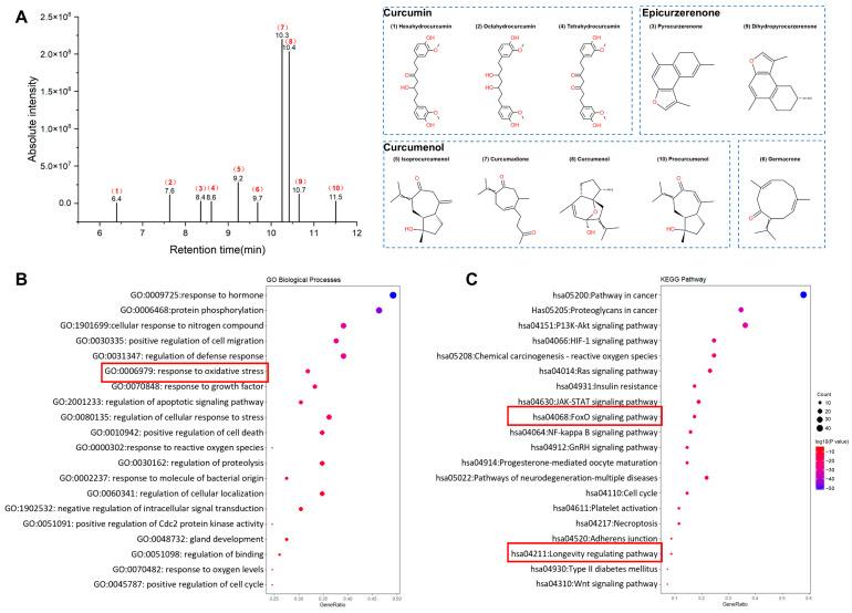 https://cdn.ncbi.nlm.nih.gov/pmc/blobs/bb97/12029441/6bff54446dce/molecules-30-01668-g002.jpg