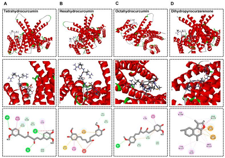 https://cdn.ncbi.nlm.nih.gov/pmc/blobs/bb97/12029441/f5a7cb7292d3/molecules-30-01668-g006.jpg