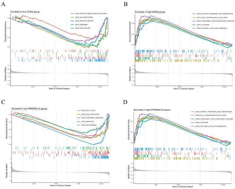 https://cdn.ncbi.nlm.nih.gov/pmc/blobs/bb97/12190003/3f0ffb2daf39/biomedicines-13-01313-g006.jpg