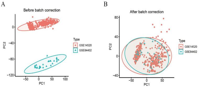 https://cdn.ncbi.nlm.nih.gov/pmc/blobs/bb97/12190003/4f4a0c34bff0/biomedicines-13-01313-g001.jpg