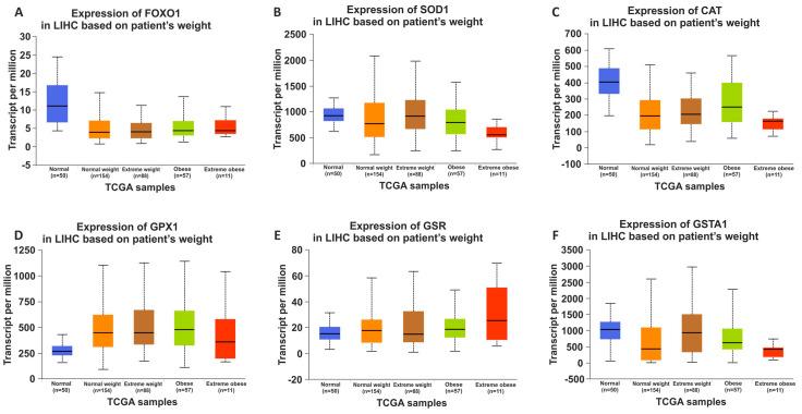 https://cdn.ncbi.nlm.nih.gov/pmc/blobs/bbad/10648500/192df70fc9bf/nutrients-15-04557-g007.jpg