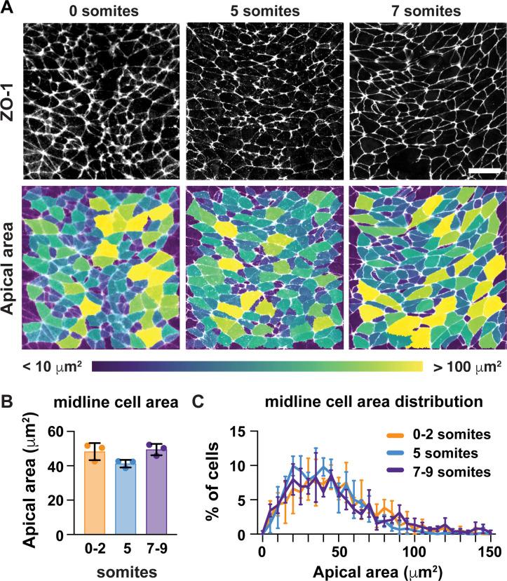 https://cdn.ncbi.nlm.nih.gov/pmc/blobs/bbb1/7655103/3925d7db80a5/elife-60234-fig2.jpg