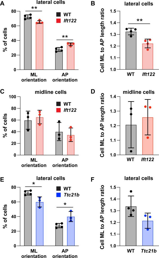 https://cdn.ncbi.nlm.nih.gov/pmc/blobs/bbb1/7655103/94bc36c2a5c2/elife-60234-fig4-figsupp4.jpg