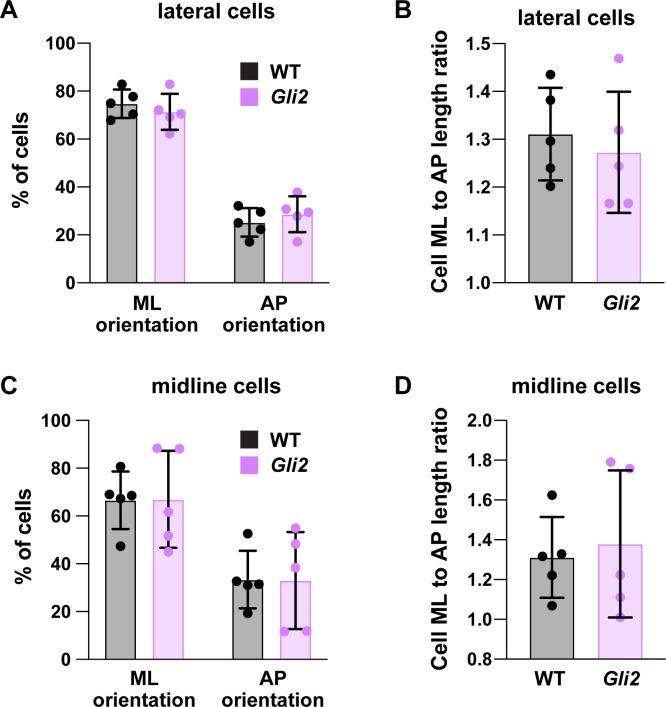 https://cdn.ncbi.nlm.nih.gov/pmc/blobs/bbb1/7655103/a0a5f0b17cfc/elife-60234-fig8-figsupp2.jpg