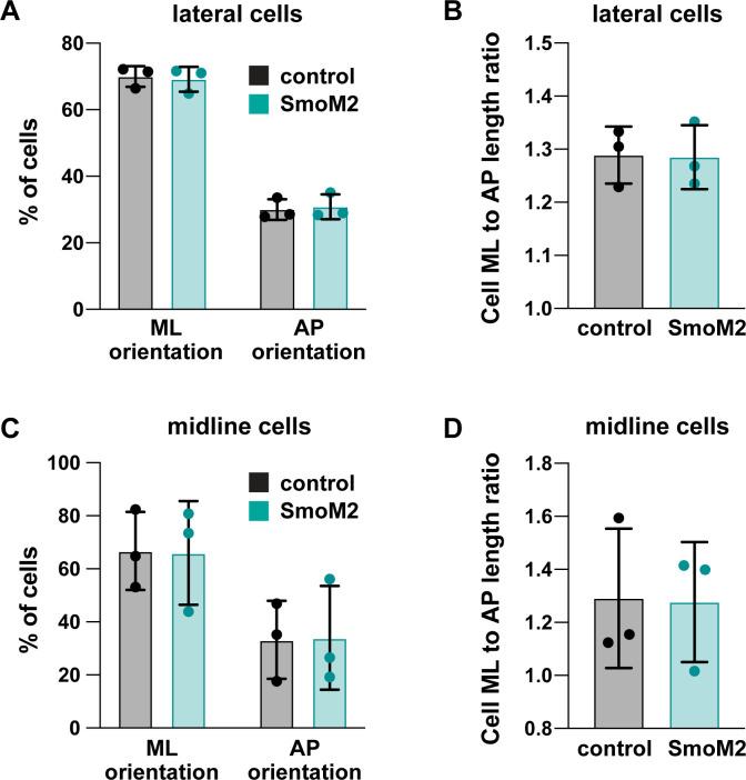 https://cdn.ncbi.nlm.nih.gov/pmc/blobs/bbb1/7655103/dfb3daaf6b54/elife-60234-fig9-figsupp2.jpg