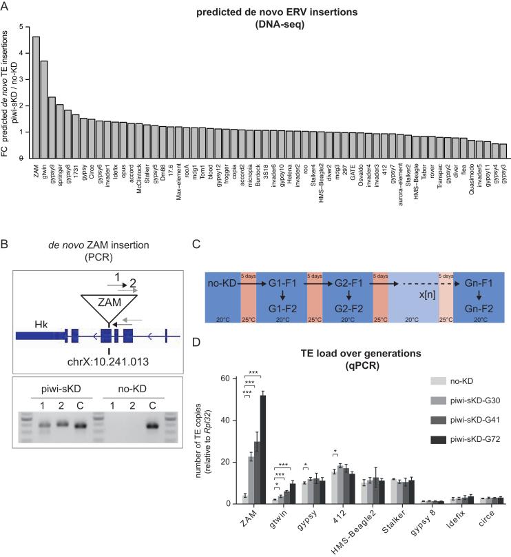https://cdn.ncbi.nlm.nih.gov/pmc/blobs/bbc2/6182186/22827a1f1da7/gky761fig4.jpg