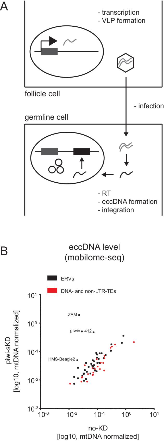 https://cdn.ncbi.nlm.nih.gov/pmc/blobs/bbc2/6182186/3c204fa0cd43/gky761fig3.jpg