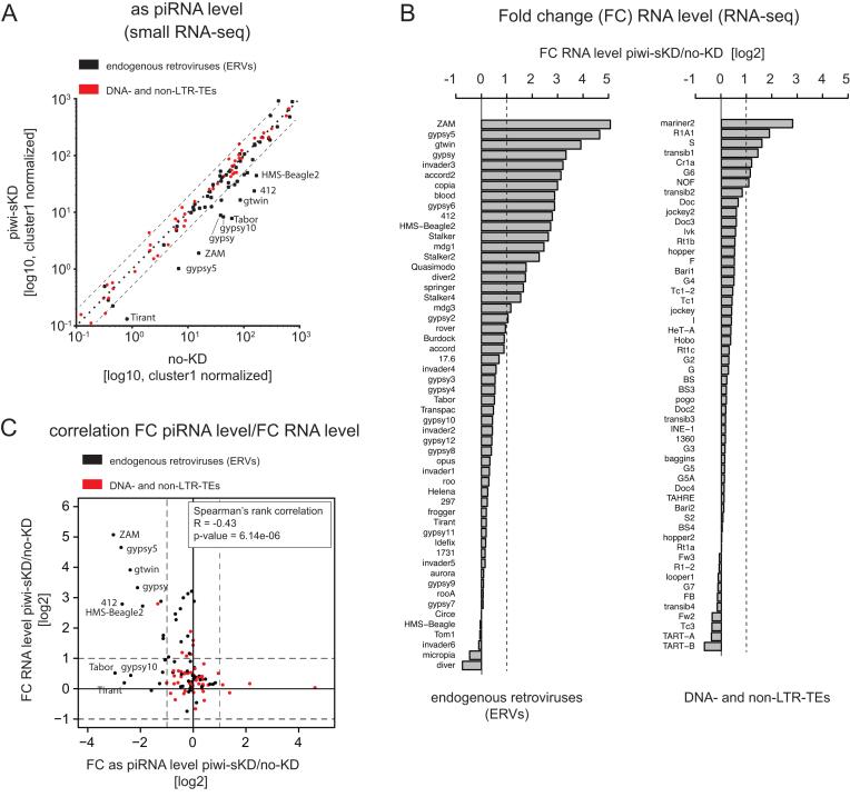 https://cdn.ncbi.nlm.nih.gov/pmc/blobs/bbc2/6182186/8e84064d5579/gky761fig1.jpg