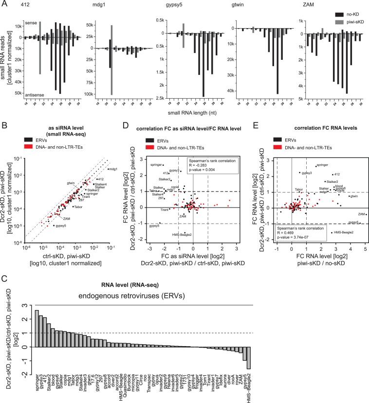 https://cdn.ncbi.nlm.nih.gov/pmc/blobs/bbc2/6182186/f2d4c00aa6ff/gky761fig2.jpg