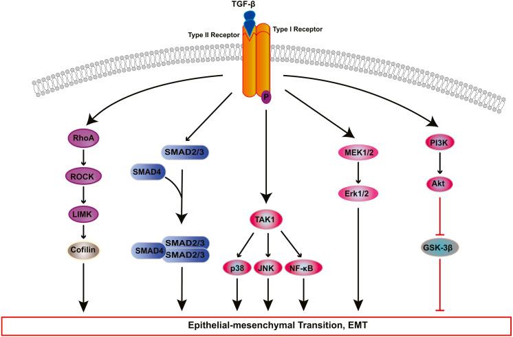 https://cdn.ncbi.nlm.nih.gov/pmc/blobs/bbf7/7583629/244f78acbf95/peerj-08-10136-g002.jpg