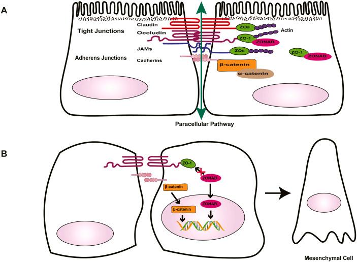 https://cdn.ncbi.nlm.nih.gov/pmc/blobs/bbf7/7583629/ce1ea3ca3705/peerj-08-10136-g001.jpg