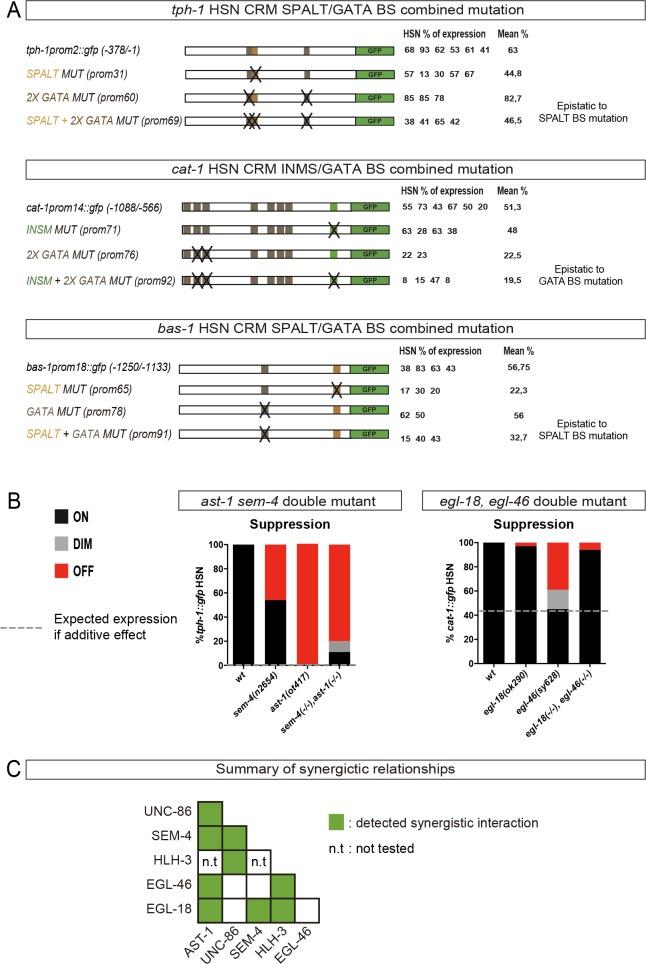 https://cdn.ncbi.nlm.nih.gov/pmc/blobs/bc09/5916565/99d127ebf25f/elife-32785-fig6-figsupp1.jpg