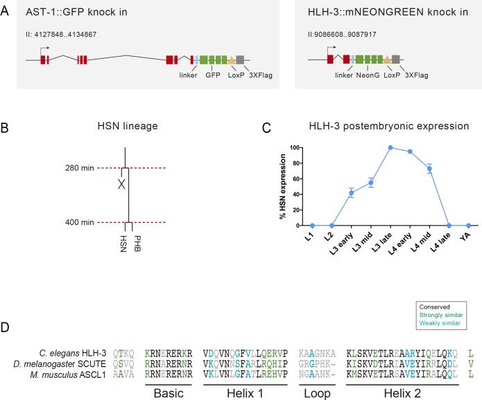 https://cdn.ncbi.nlm.nih.gov/pmc/blobs/bc09/5916565/fc6662affd59/elife-32785-fig2-figsupp1.jpg