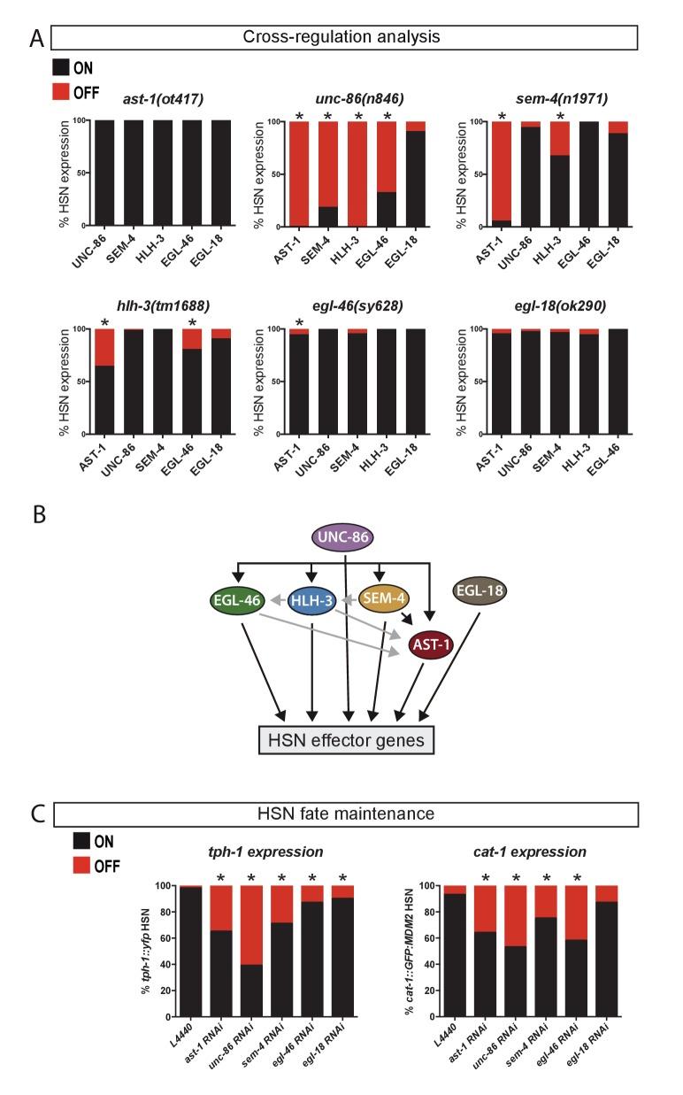 https://cdn.ncbi.nlm.nih.gov/pmc/blobs/bc09/5916565/fe1e9d78c2d5/elife-32785-fig3.jpg