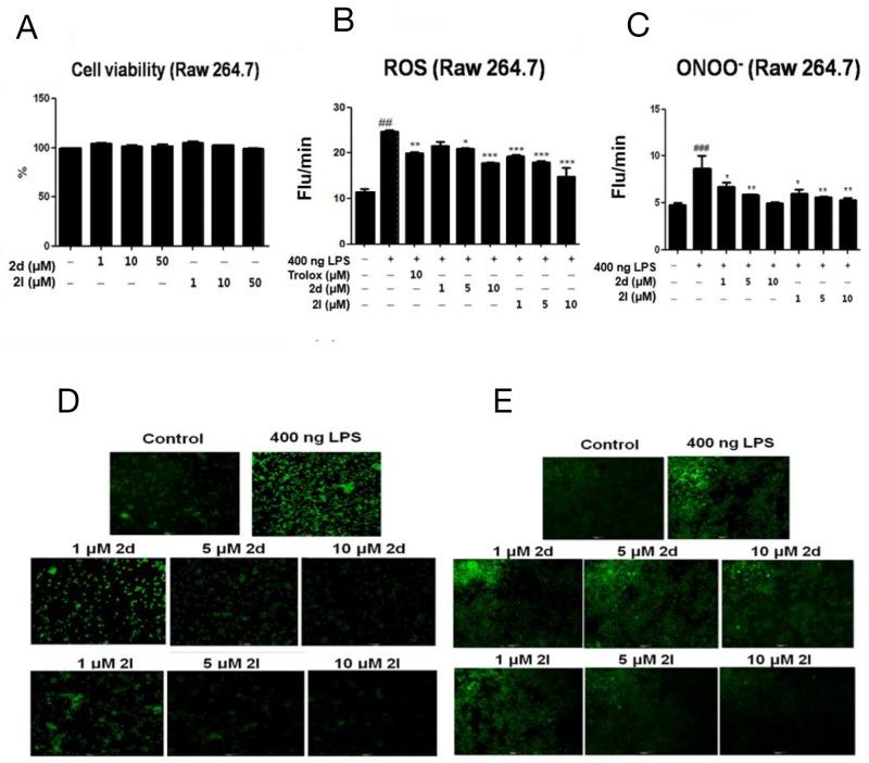 https://cdn.ncbi.nlm.nih.gov/pmc/blobs/bc44/5710955/7020c6862370/oncotarget-08-91662-g004.jpg